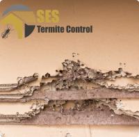 SES Termite Inspections Melbourne image 3
